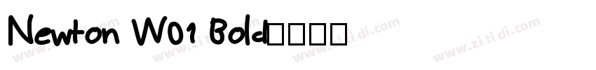 Newton W01 Bold字体转换